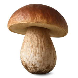 meteo icon
